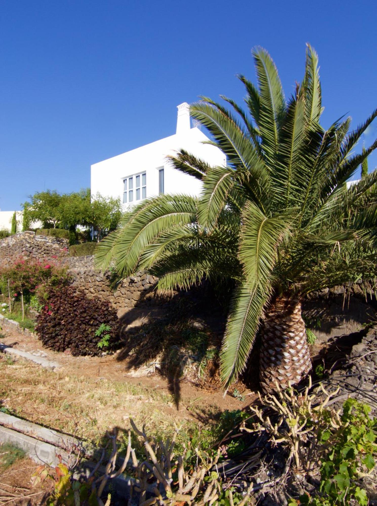 Willa Casa La Brena La Palma Breña Baja Zewnętrze zdjęcie